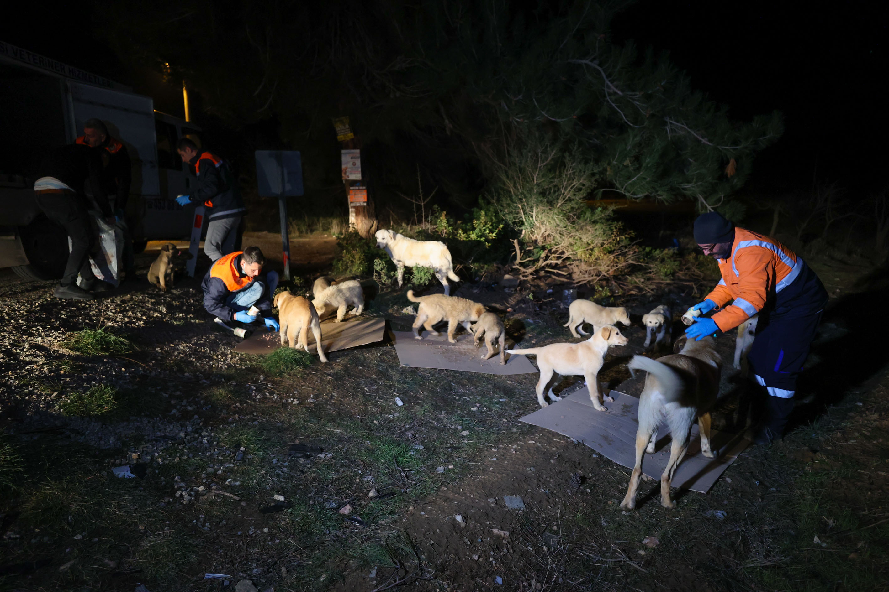 Buca'da Can Dostlarına Gece Gündüz Mama Desteği