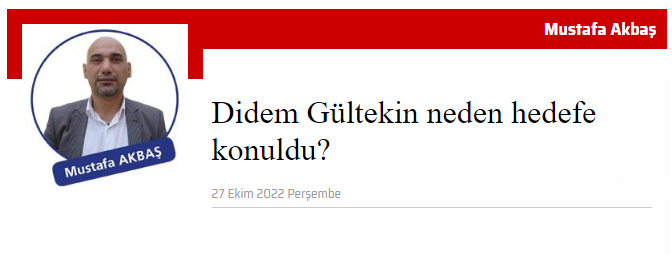 Didem Gültekin neden hedefe konuldu?