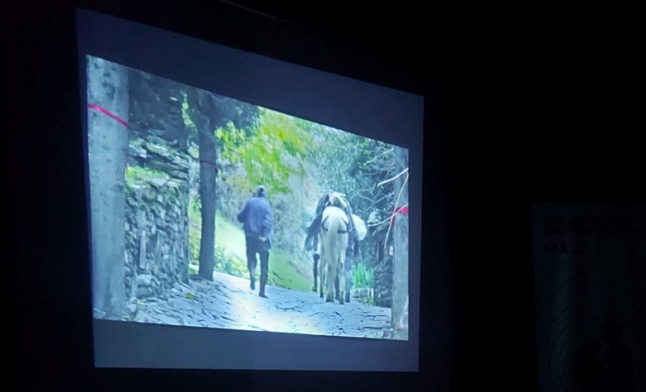 Nar Belgeseli Beğeni Topluyor