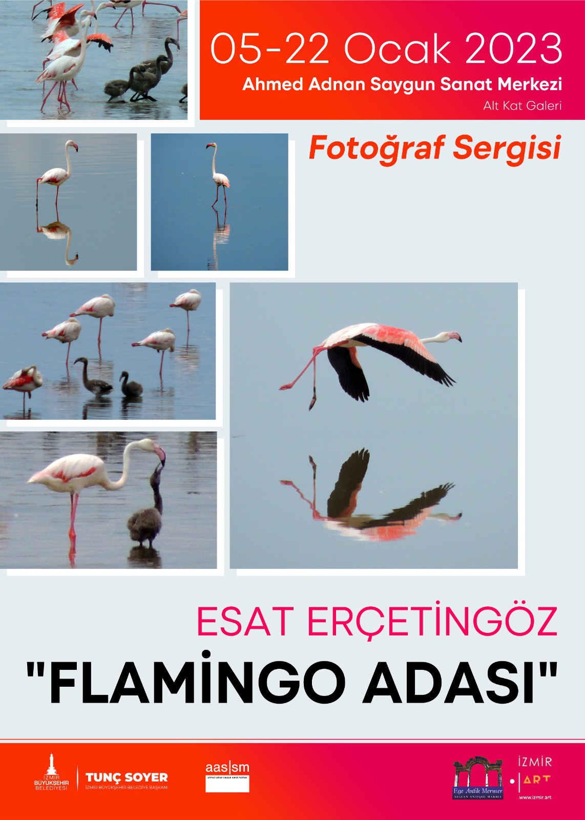 Esat Erçetingöz’den 'Flamingo Adası Sergisi'