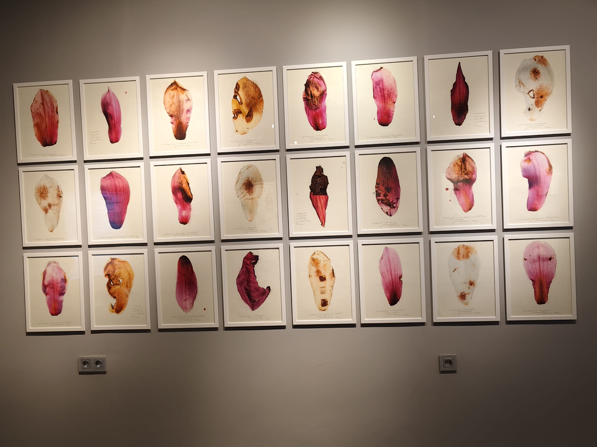 İzmir'de Kore Sanatının Büyüsü: "Melodi and Harmony of Time" Sergisi Açıldı