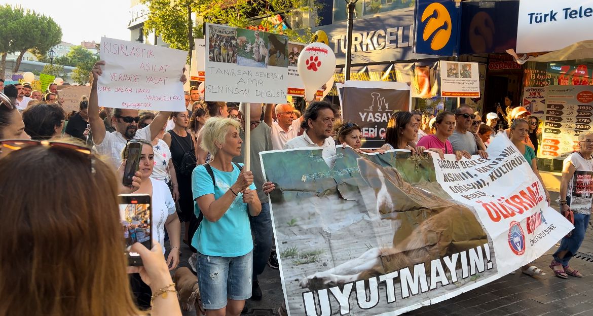 Vicdanın Sesi Karşıyaka'da Yükseliyor: Hayvan Katliamına Hayır