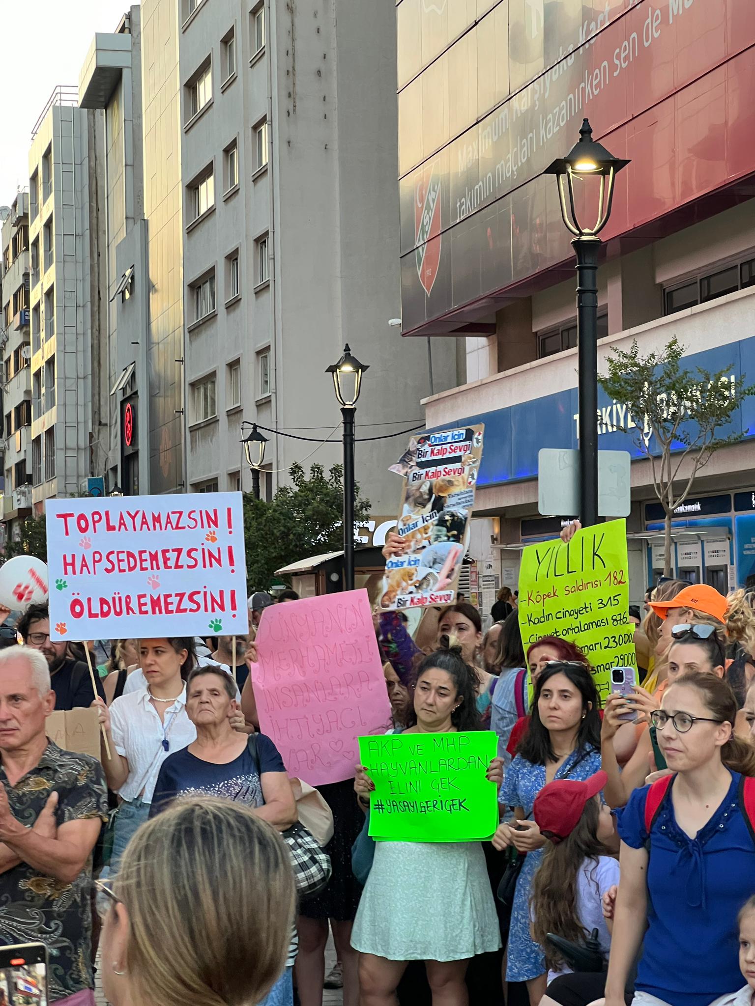 Vicdanın Sesi Karşıyaka'da Yükseliyor: Hayvan Katliamına Hayır