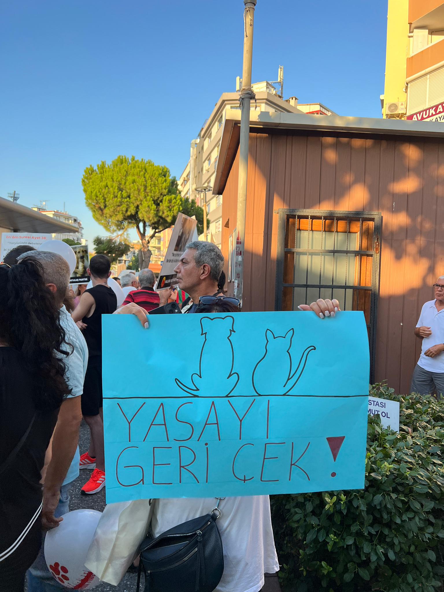 Vicdanın Sesi Karşıyaka'da Yükseliyor: Hayvan Katliamına Hayır