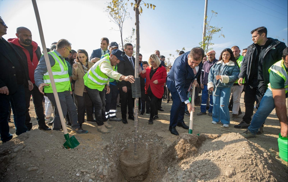 Yamanlar Dağı’nda Umut Yeşeriyor: İzmir’de Yangın Alanı Bal Ormanına Dönüşüyor