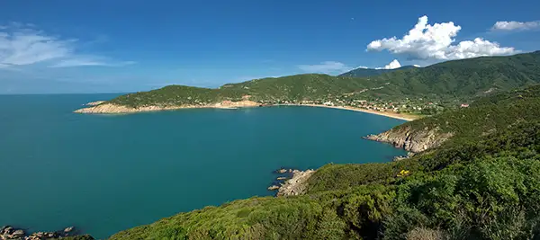 Burası ne Çeşme ne de Urla: Pırıl pırıl deniz kenarında yemyeşil huzurlu bir köy