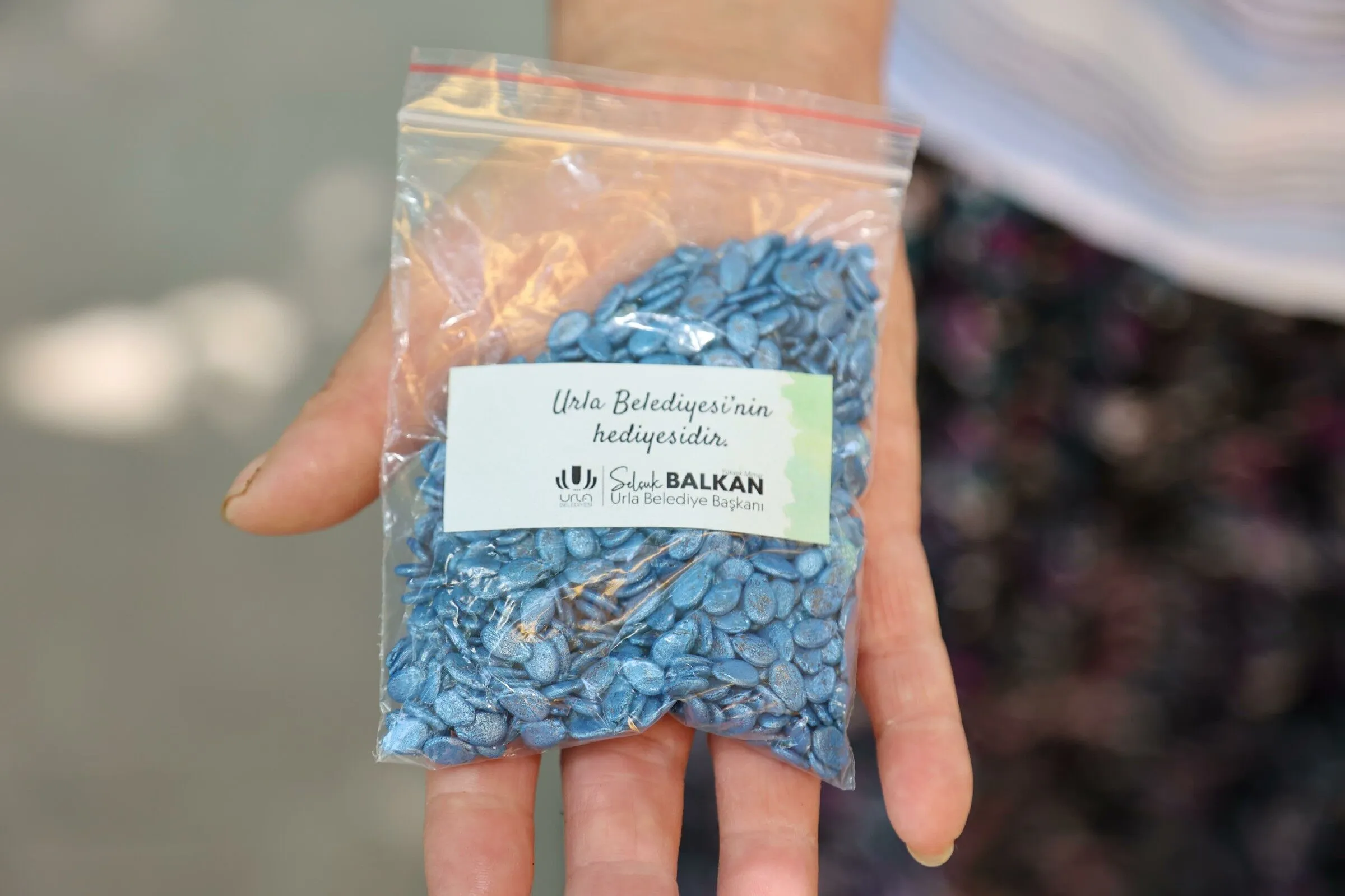 Karpuz tohumu Urla Belediyesinden üretim çiftçiden