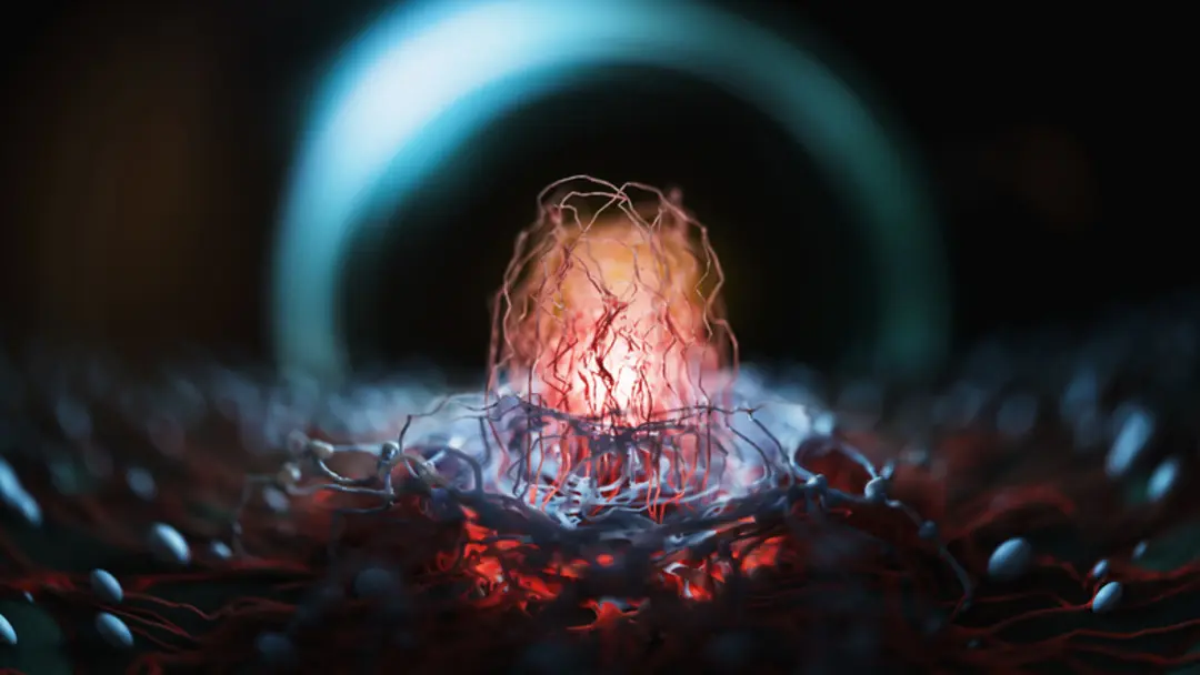 Kanser hastalarına immünoterapi desteği: 48 bin hasta