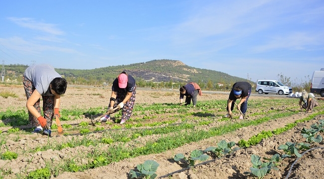 Aliağalı Kadınlardan Doğal Tarım Atağı