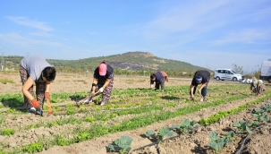 Aliağalı Kadınlardan Doğal Tarım Atağı