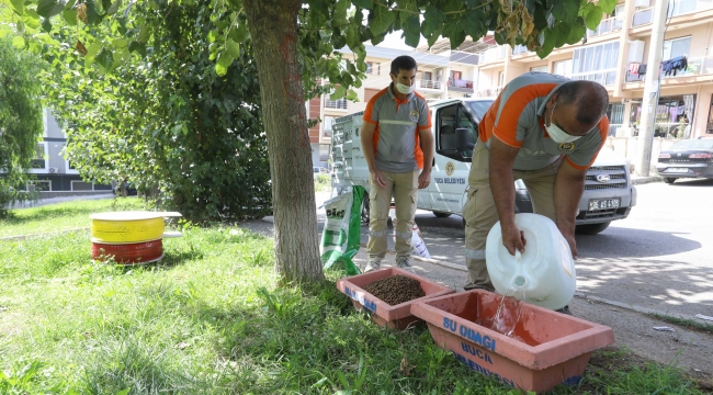 Buca Belediyesi’nden can dostlar için kışa hazırlık