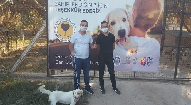 Can dostlarını sahiplenenler çoğalıyor