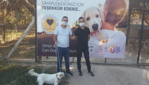 Can dostlarını sahiplenenler çoğalıyor