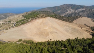 Doğa katliamına iş dünyasından tepki