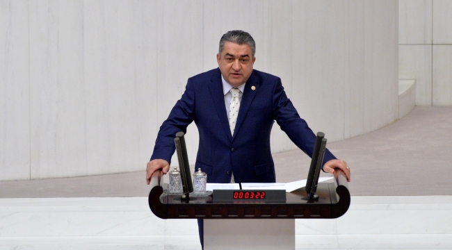 Serter, TBMM’de İzmir halkının sesi oldu