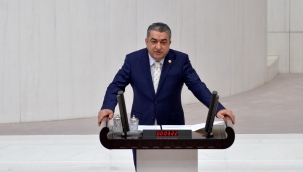 Serter, TBMM’de İzmir halkının sesi oldu