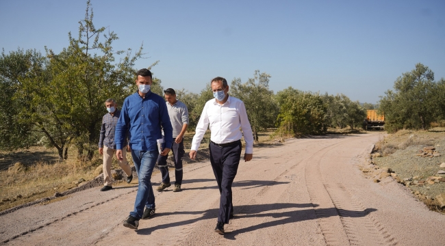 ZEYTİNLİKLER ARASI YOLLARA NEŞTER