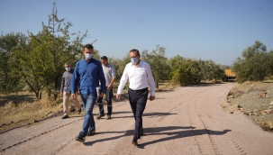 ZEYTİNLİKLER ARASI YOLLARA NEŞTER