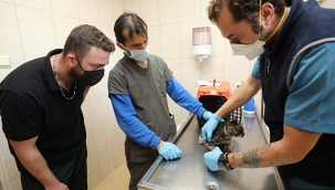 Adı Şans, kendisi şanslı