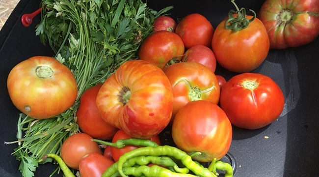 Bornova doğal tarım gönüllülerinin adresi oldu