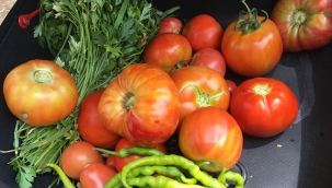 Bornova doğal tarım gönüllülerinin adresi oldu