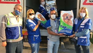 Depremzede can dostlara 1 buçuk ton kuru mama