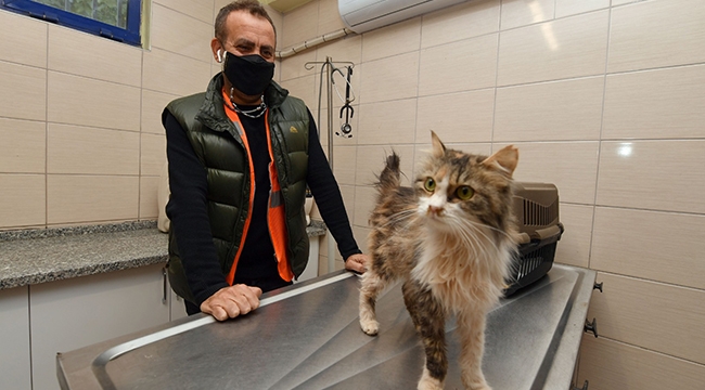 Depremzede kediyi Haluk Levent sahiplendi