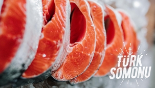 Su ürünleri ihracatı her şeye rağmen 1 milyar dolara koşuyor