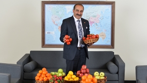 Taze domates ihracatı 250 milyon doları aştı