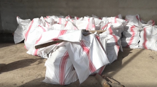 Budanan dallar ihtiyaç sahiplerine ayrılacak