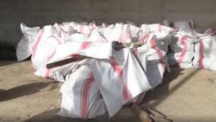 Budanan dallar ihtiyaç sahiplerine ayrılacak