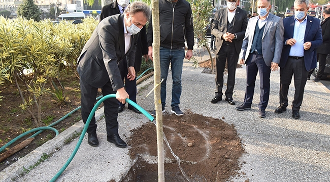 Daha yeşil bir Bornova 2 yılda 16 bin fidan
