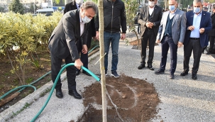 Daha yeşil bir Bornova 2 yılda 16 bin fidan