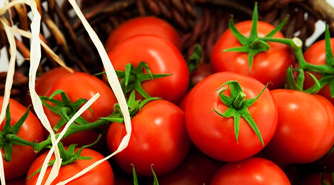 Domates ihracatçıları Rusya’ya ihracatta kotanın kaldırılmasını istiyor