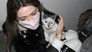 İki bina arasına sıkışan "Aşık" adlı kedi kurtarıldı