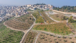 Kadifekale’yi bir de baharda görün