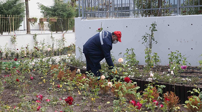 Karşıyaka’ya yeni gül bahçesi