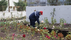 Karşıyaka’ya yeni gül bahçesi