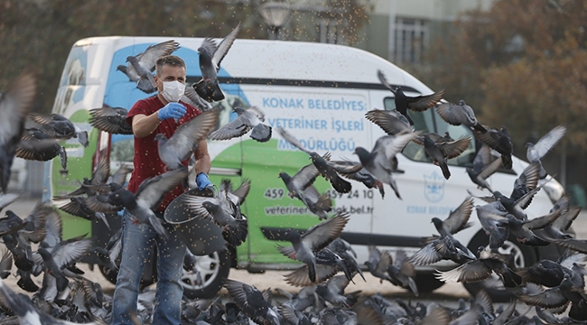 Konak evde, belediye görevde