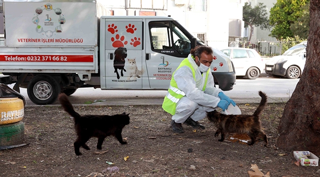 Sokağa çıkma kısıtlamasında da can dostları unutulmadı