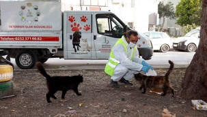 Sokağa çıkma kısıtlamasında da can dostları unutulmadı