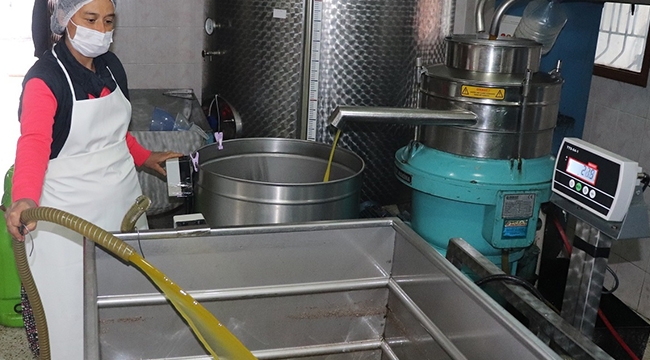 Zeytinyağını kadınlar üretiyor