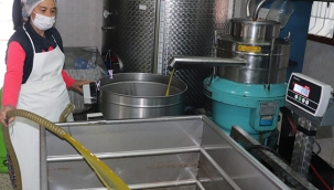 Zeytinyağını kadınlar üretiyor