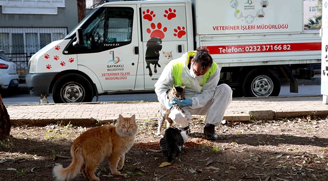 Bayraklı’da sokak hayvanları yalnız değil