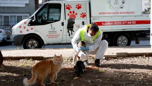 Bayraklı’da sokak hayvanları yalnız değil