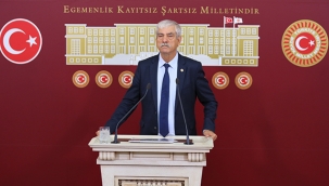 Beko: Orman arazileri rant uğruna peşkeş mi çekiliyor?