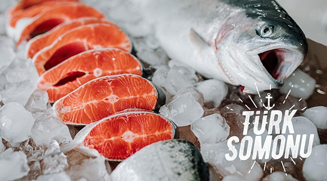 Dünyanın Karadeniz somonuna talebi ikiye katlandı