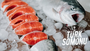 Dünyanın Karadeniz somonuna talebi ikiye katlandı