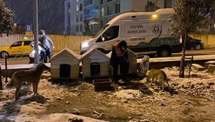 Kar altında kalan can dostlarını Buca Belediyesi unutmadı