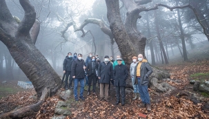 Karşıyaka’nın üstündeki Yamanlar köyü agro turizme açılacak